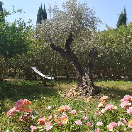La Banastiere Ξενοδοχείο Vedène Εξωτερικό φωτογραφία